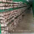 Conteneur de champignons Vertical agriculture Greenhouse